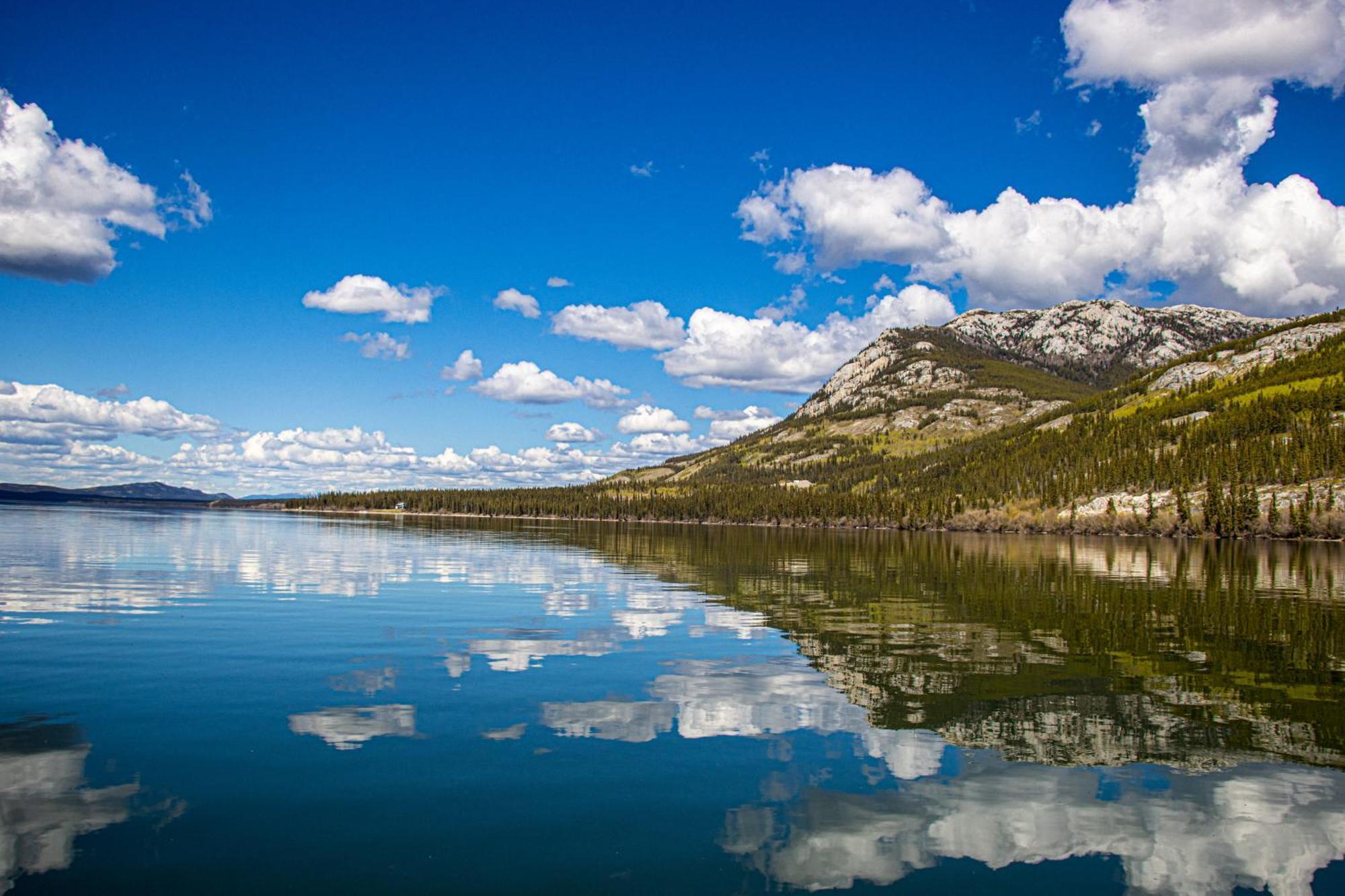 Little Atlin Lodge Tagish Bagian luar foto