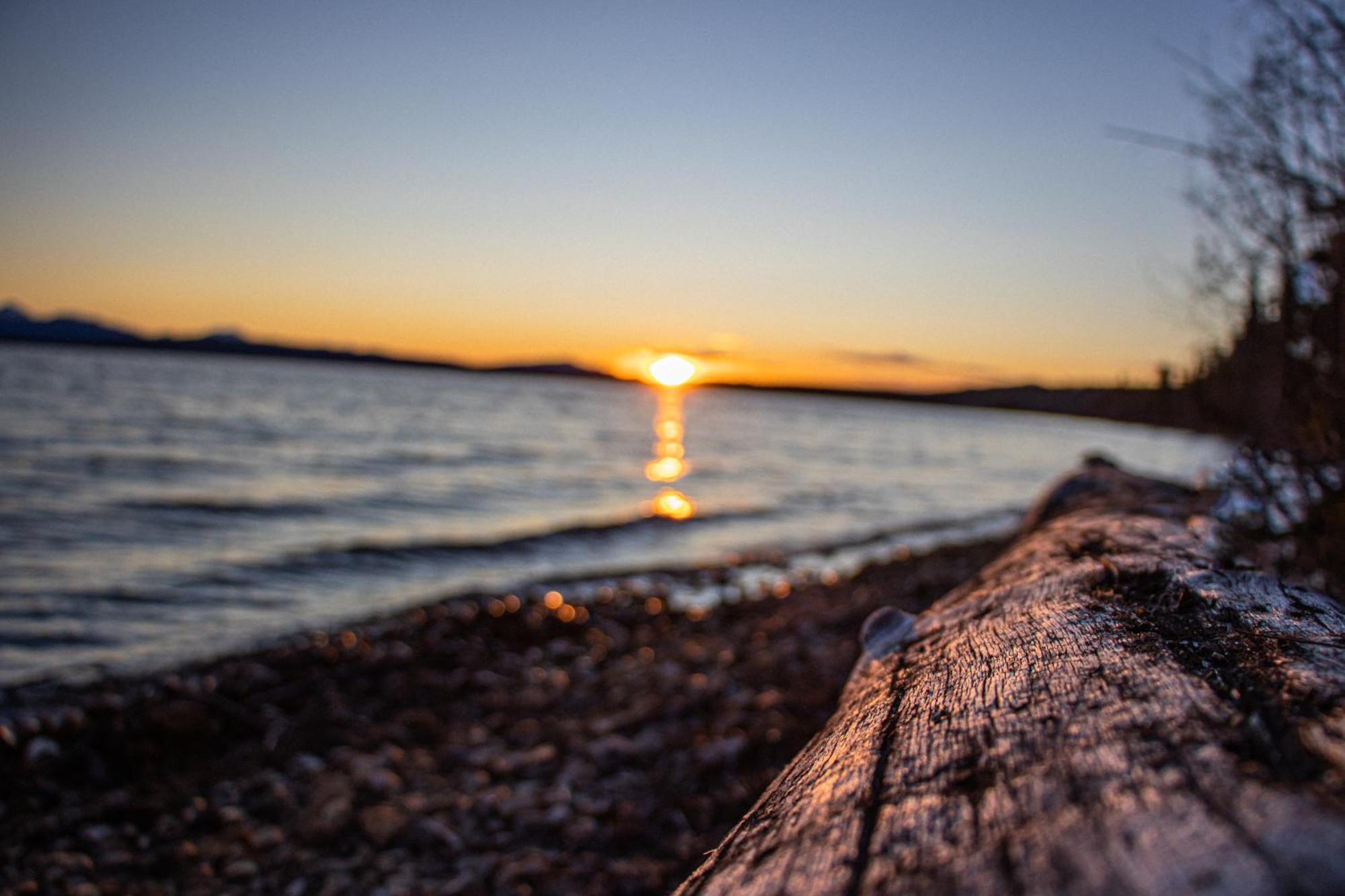 Little Atlin Lodge Tagish Bagian luar foto