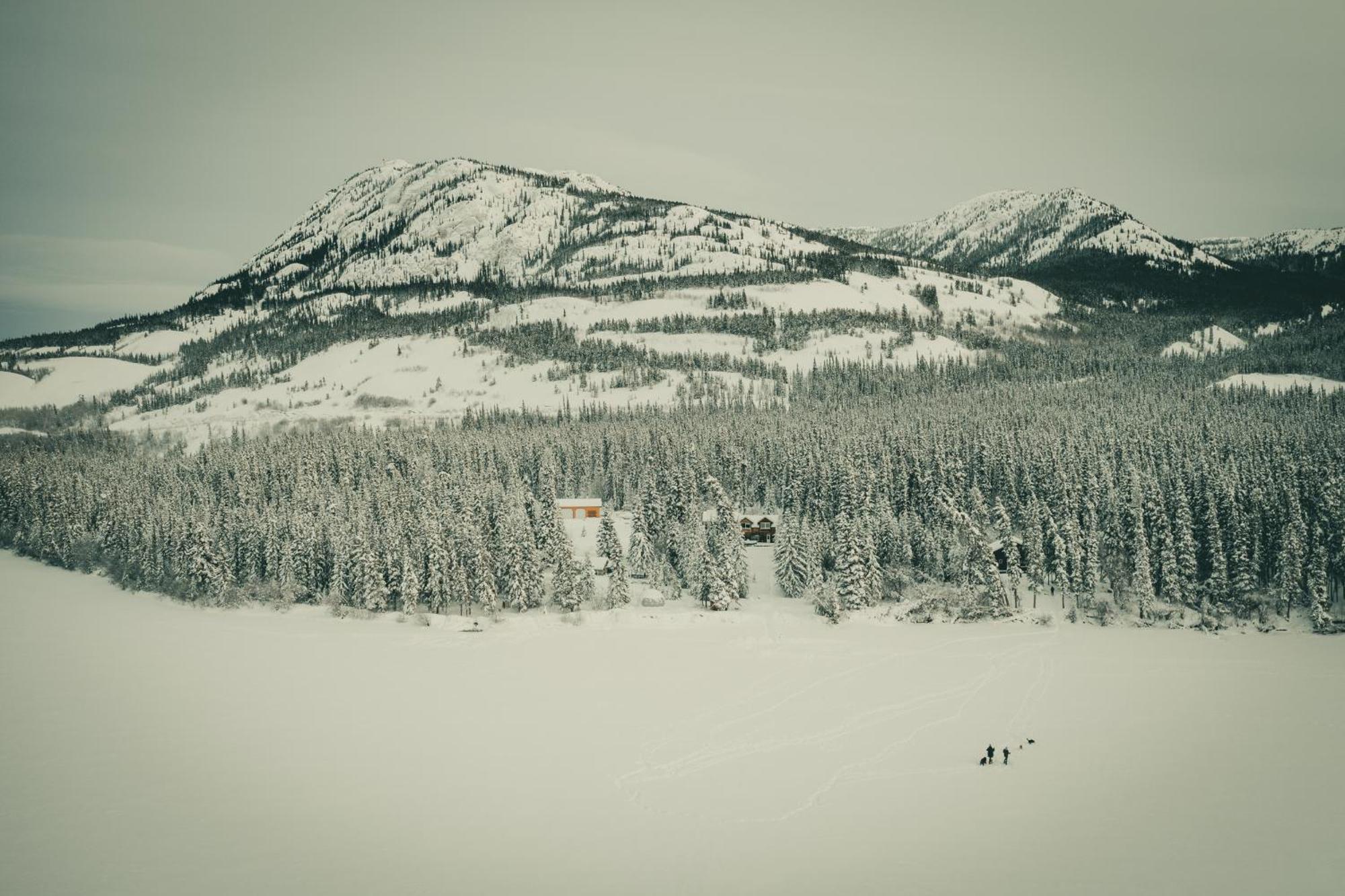 Little Atlin Lodge Tagish Bagian luar foto