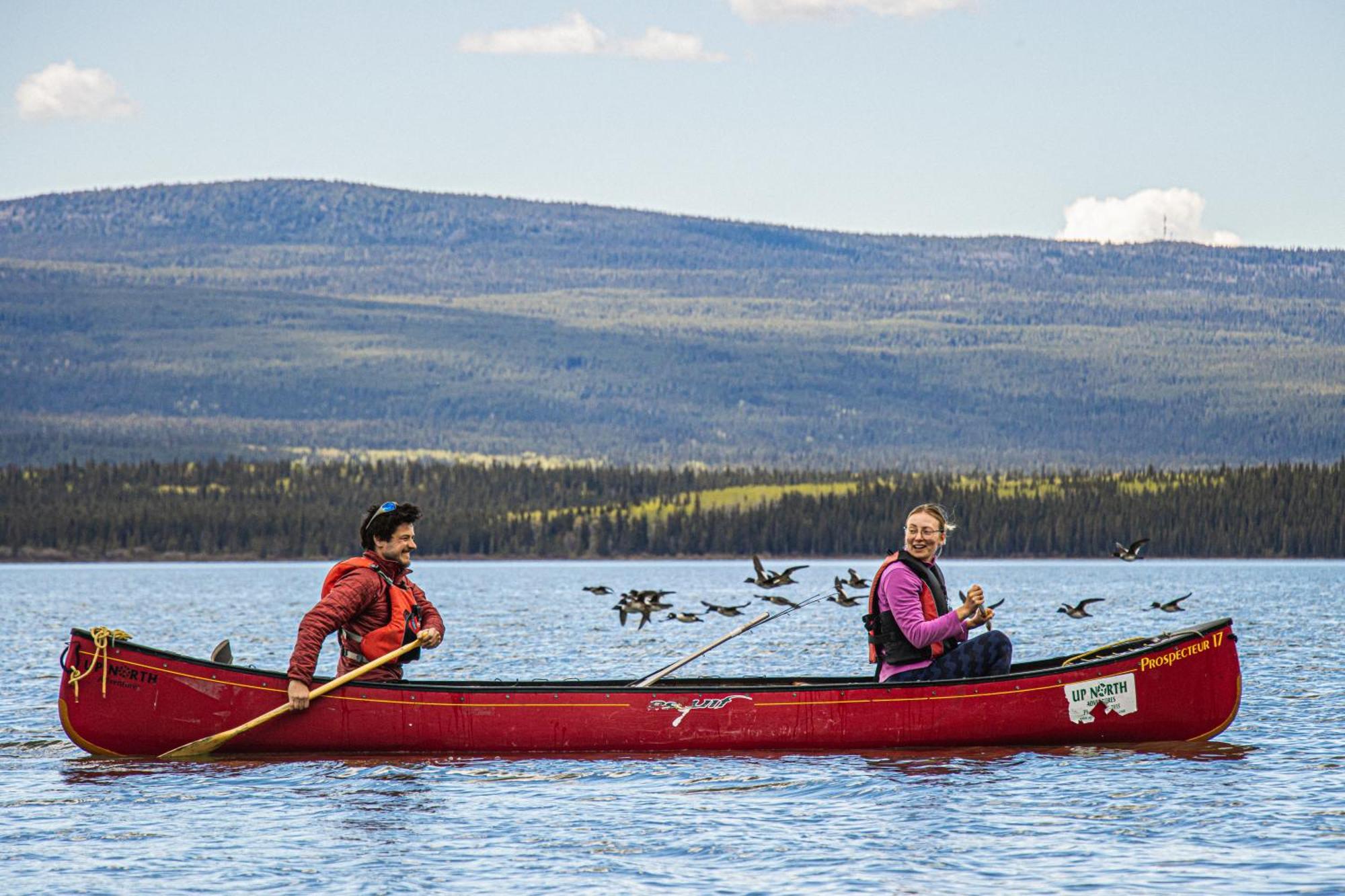 Little Atlin Lodge Tagish Bagian luar foto