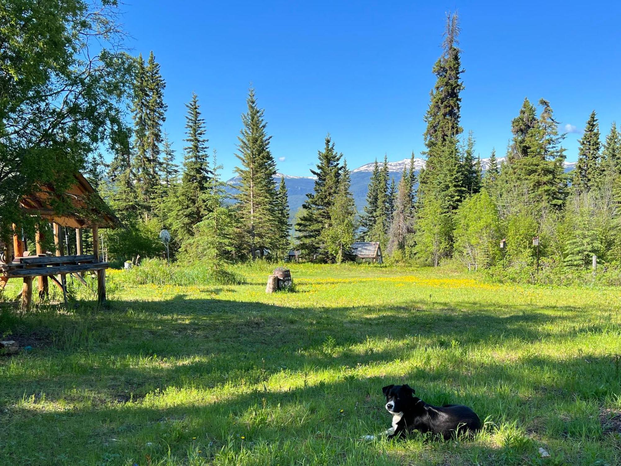 Little Atlin Lodge Tagish Bagian luar foto